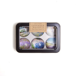 123 Farm Lavender Glass Dome Magnet Set
