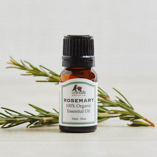 Essential Oil - Rosemary